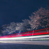 夜桜ビーム⑤