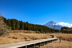 富士山　小田貫湿原①