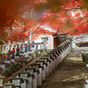 大山寺　参道①