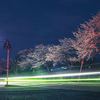夜桜ビーム⑥