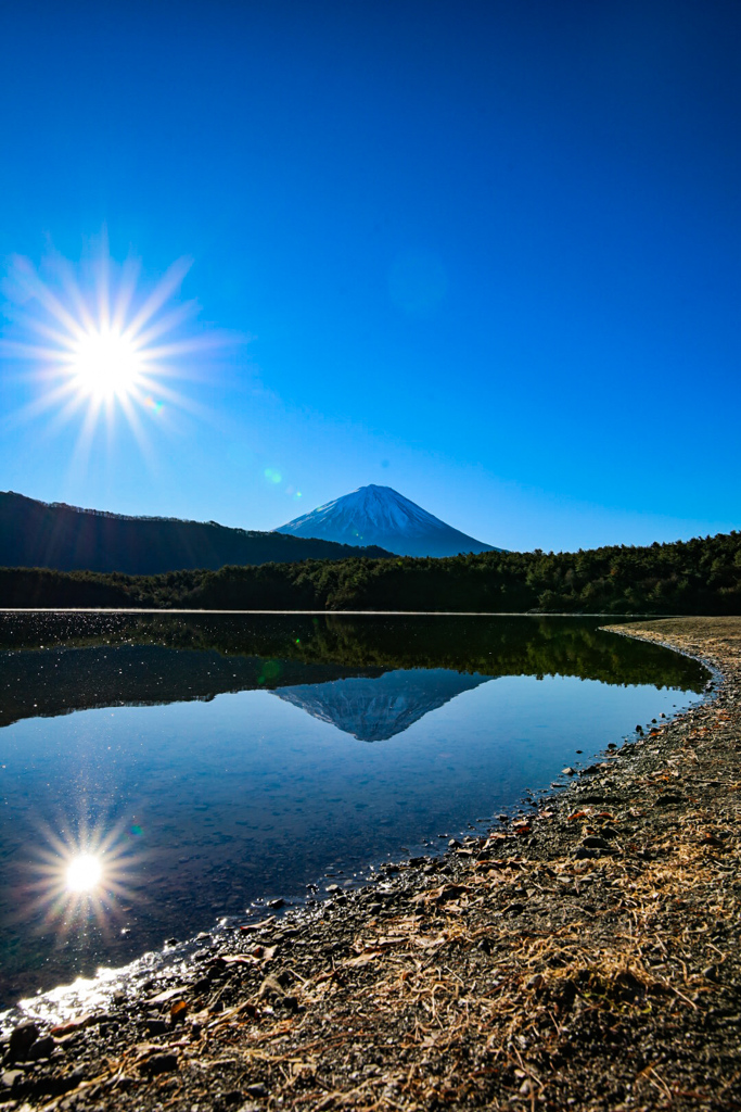 富士山　西湖③