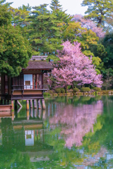 兼六園①
