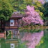 兼六園①
