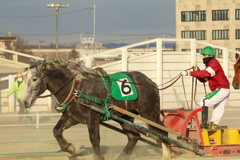 ばんえい競馬⑥
