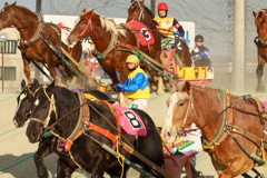 ばんえい競馬⑤