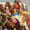 ばんえい競馬⑤