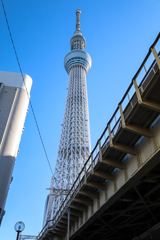 路地から見上げるスカイツリー