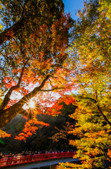 香嵐渓　紅葉狩り④