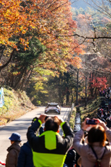 ラリー　稲武SS　紅葉⑨
