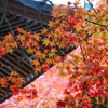 軒先で紅葉狩り