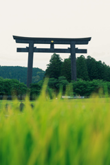 大斎原大鳥居⑤