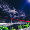 夜桜ビーム②