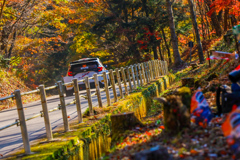 ラリー・ジャパン稲武SS　紅葉⑦