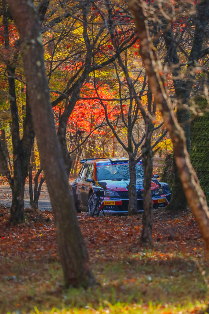 ラリー・ジャパン稲武SS　紅葉①