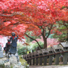 大山寺　参道③