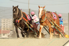ばんえい競馬④