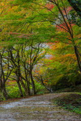 秋の始まり