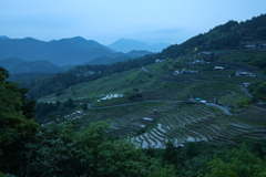 丸山千枚田　明け方