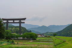 大斎原大鳥居④