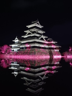 黒漆に映るpink
