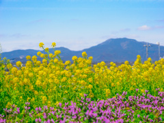 Spring has come ♪