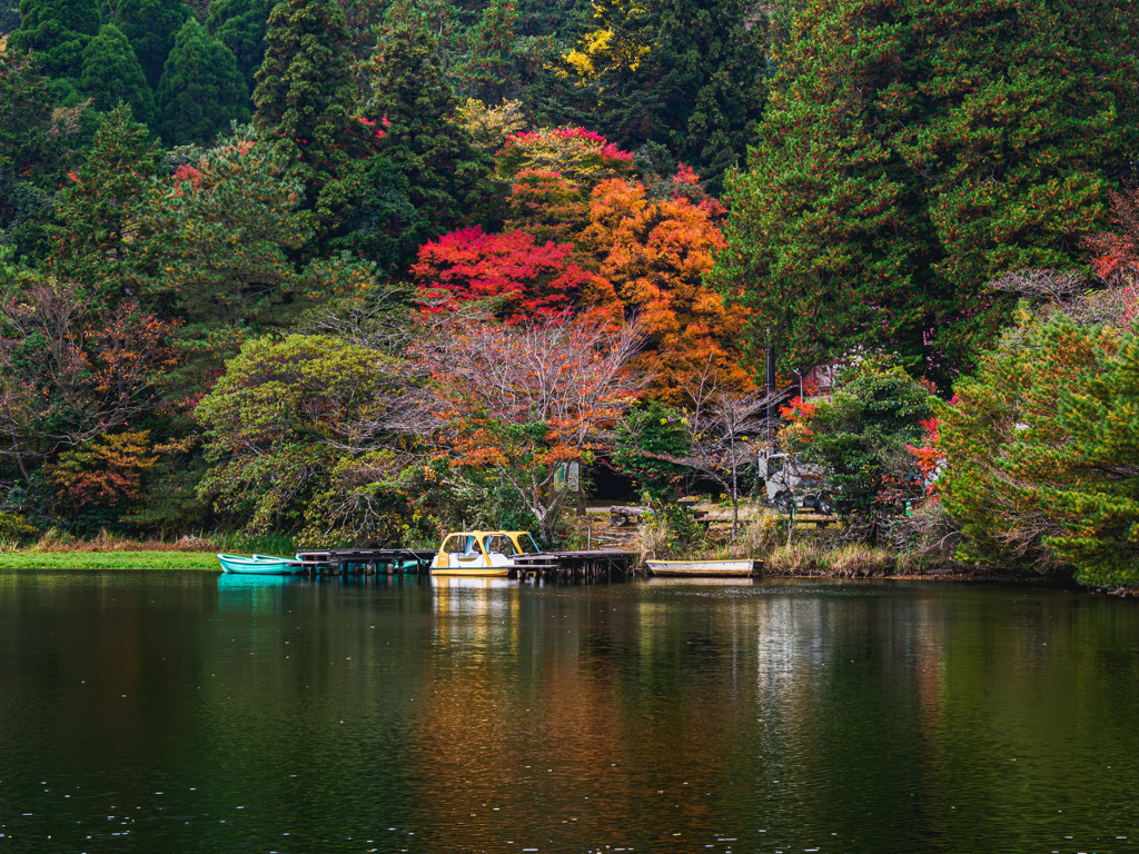 紅葉ひとり占め
