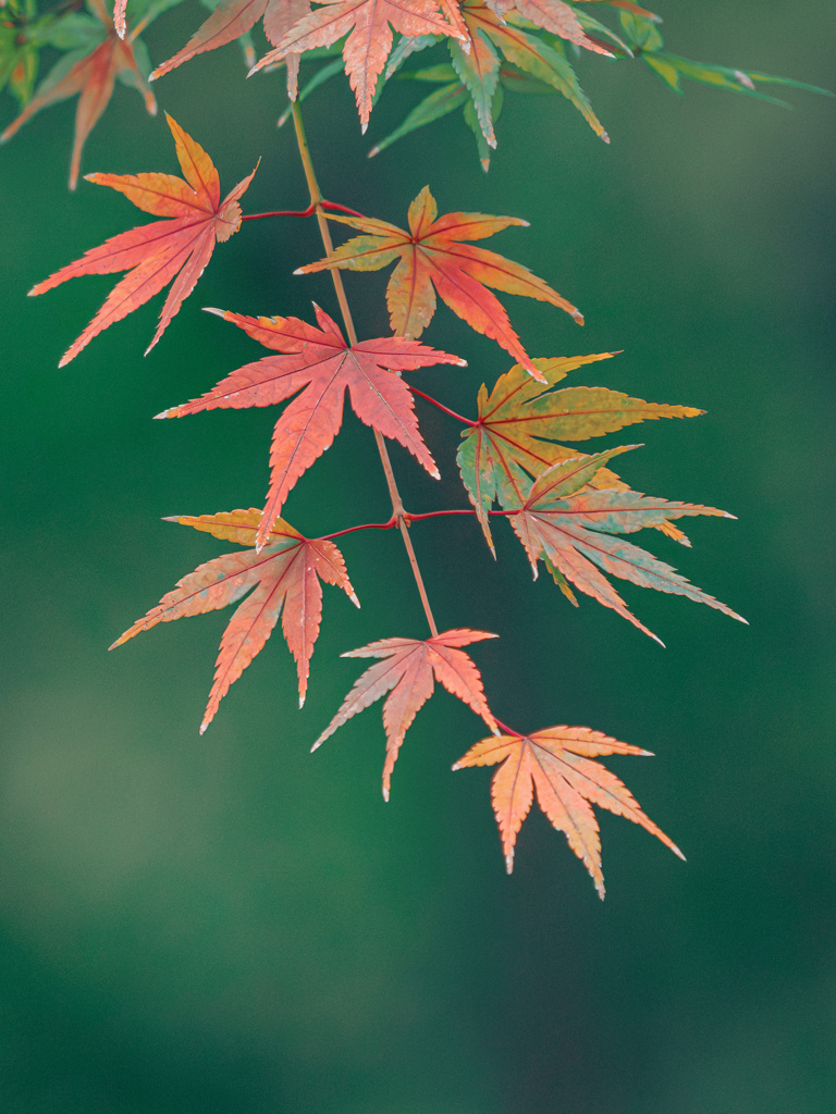 このままでいて欲しい