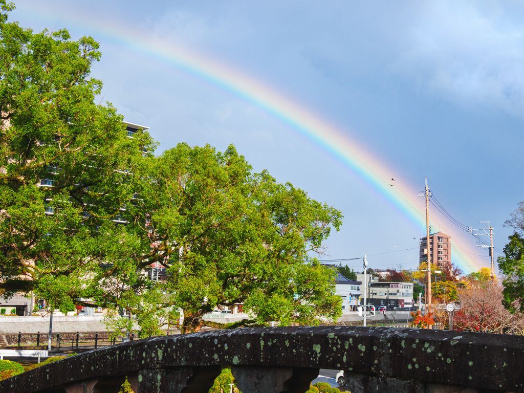 虹だよ～♪