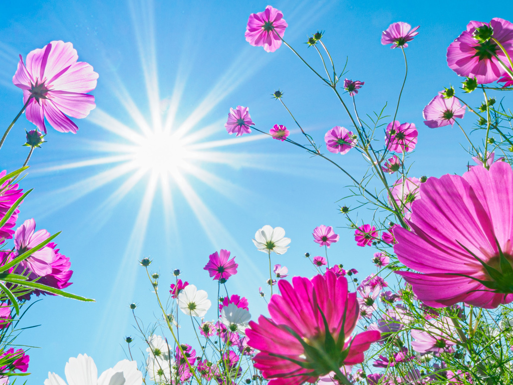 秋空を見上げて