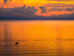 オレンジ色に包まれて