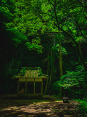 神殿の新緑