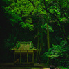 神殿の新緑