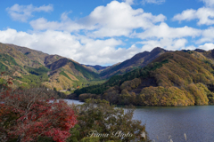 草木湖