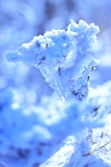 雪の華〜コサージュ