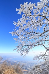 霧氷