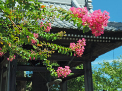 takahasi001