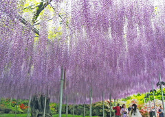takahasi010