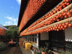 t.shi 秋色の景色