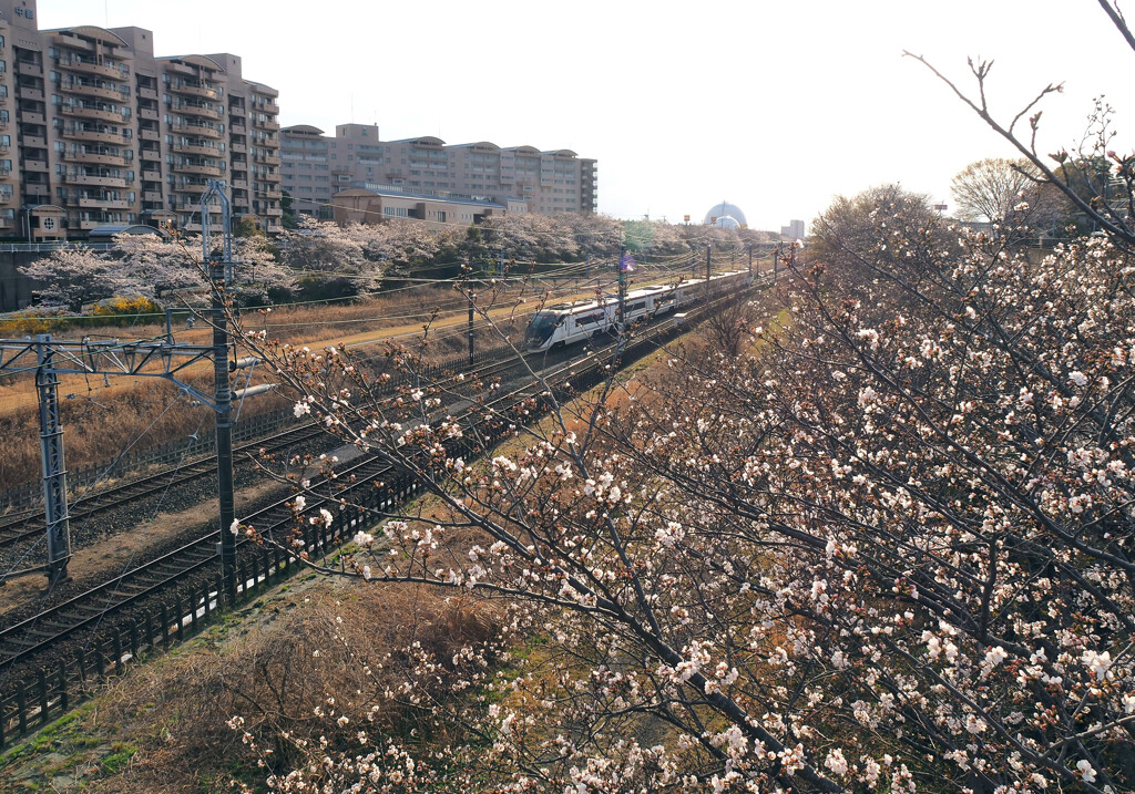 P3300058-02 by ootake