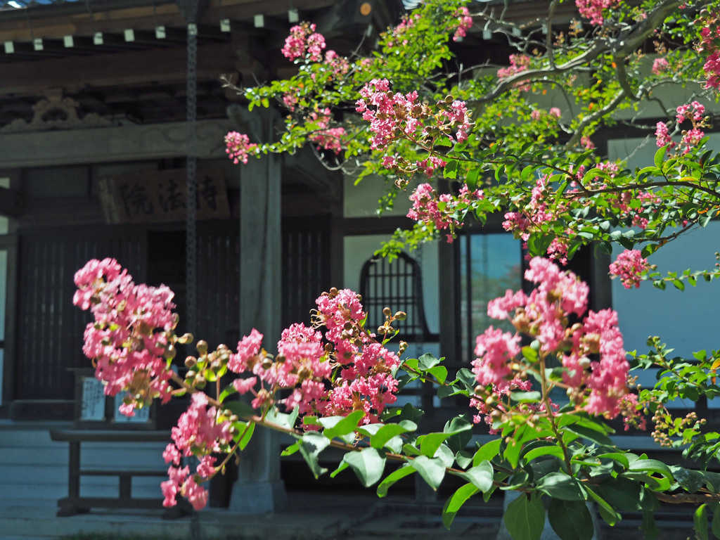takahasi002