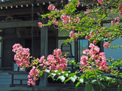 takahasi002