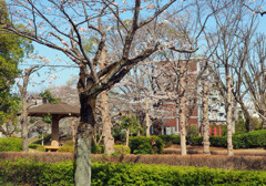 P3300045-02 by ootake