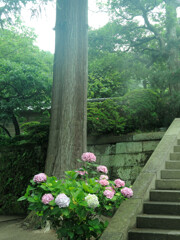 sekiguti DSCN0674