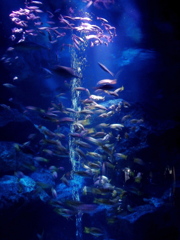 emori20230214_36