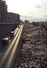 P3300063-02 by ootake