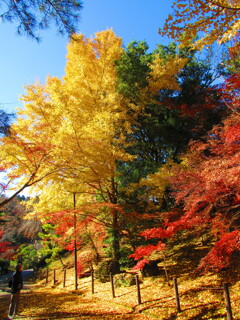 IMG_4472bby murakami