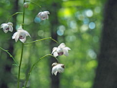 takahasi005