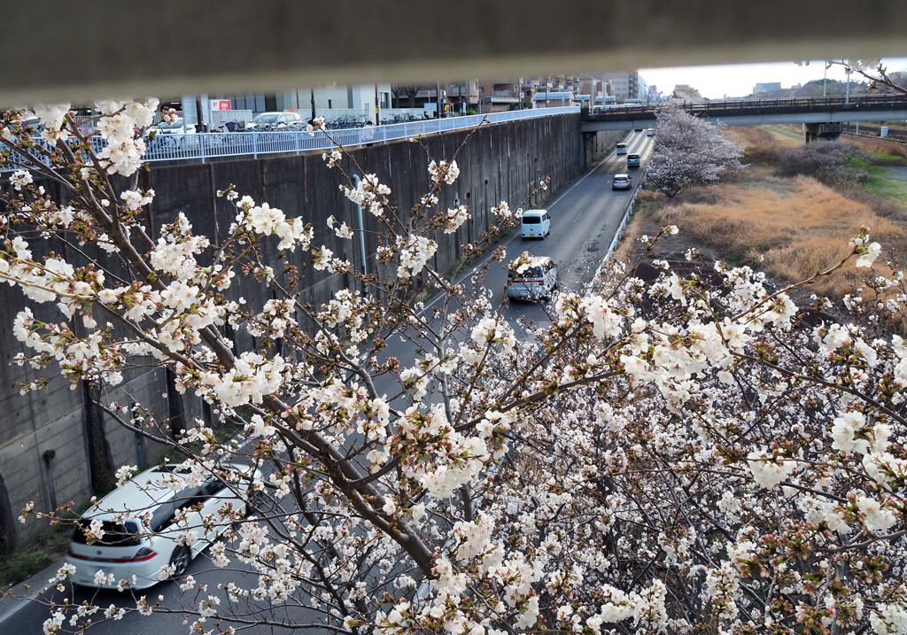 P3300052-02 by ootake