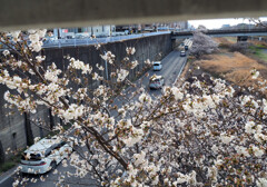 P3300052-02 by ootake