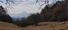 雲取山より by toshi